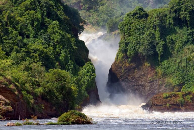 murchison-falls-view-1024x684